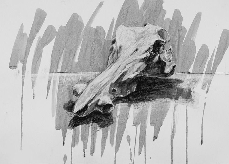 Art Studio Portfolio