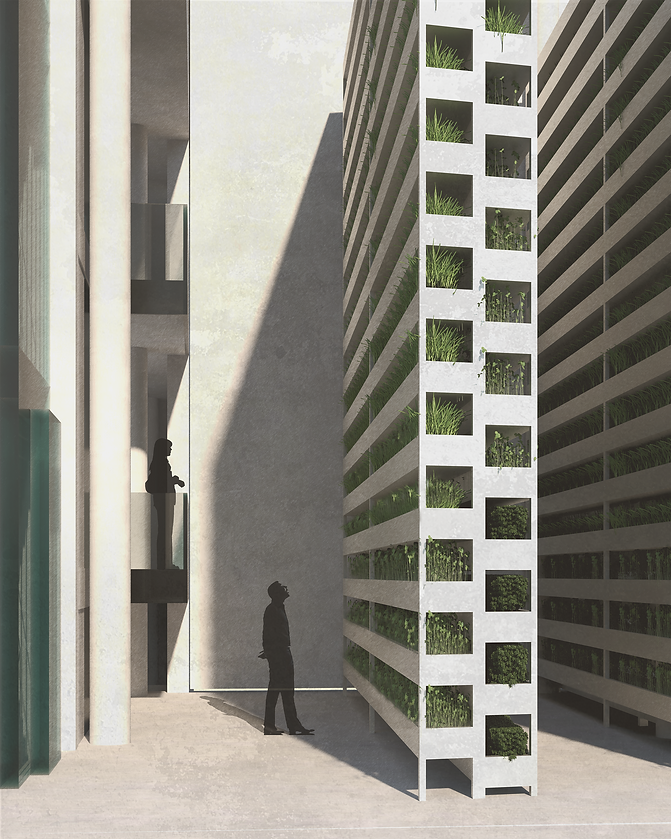 vertical farming visual.png