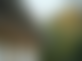 Choosing the Right Gutter Installation Service