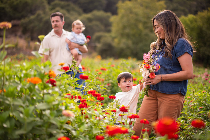 Family picking fresh flowers together in a U-pick flower field.