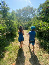Students picking apples during an educational field trip at Avila Valley Barn orchard.