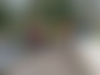 FoPV Work Morning Roundup - Tuesday 24th March 2026