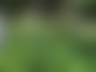 FoPV Work Morning Roundup - Tuesday 23rd June 2026