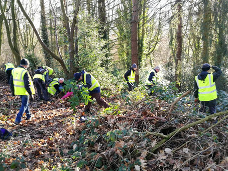 FoPV Work Morning Roundup - Tuesday 24th January 2023