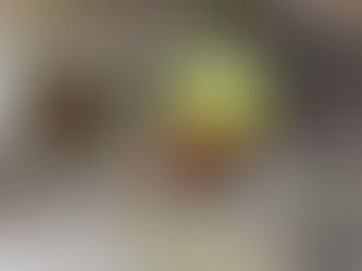 FoPV Work Morning Roundup - Thursday 8th January 2026