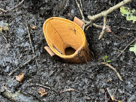 FoPV Work Morning Roundup - Tuesday 22nd July 2025