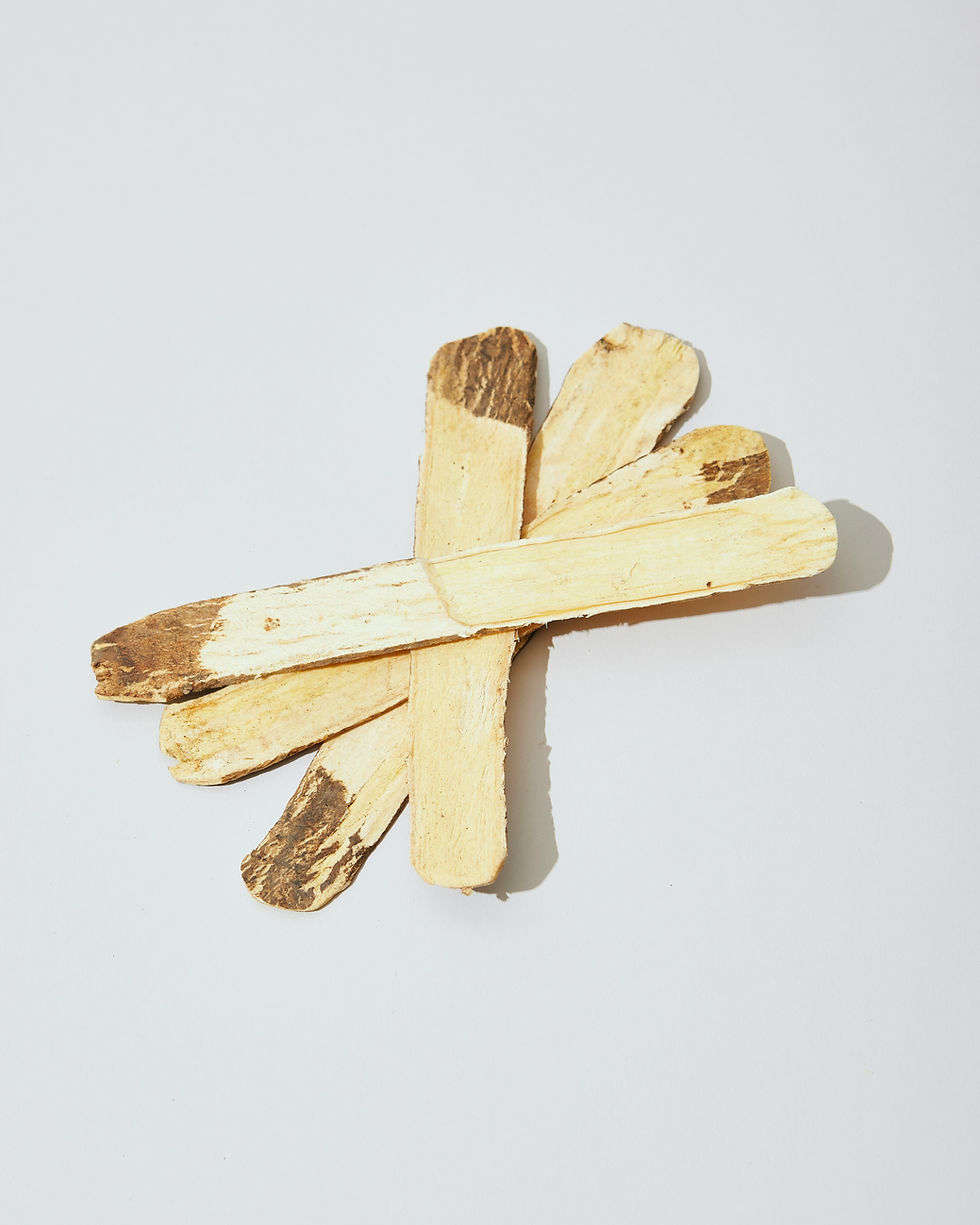 Sliced Astragalus root is known as a nourishing immune tonic.