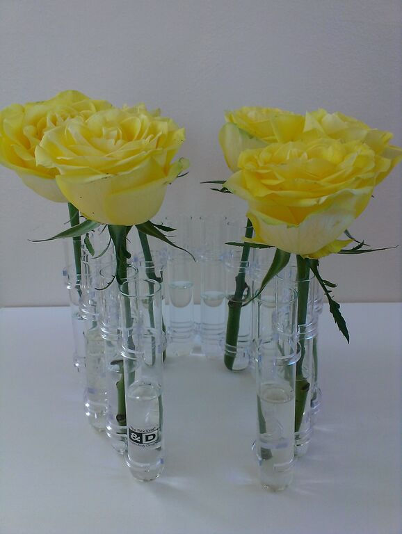 Test Tube Vase