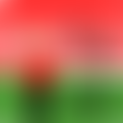 Daily Drawing Challenge