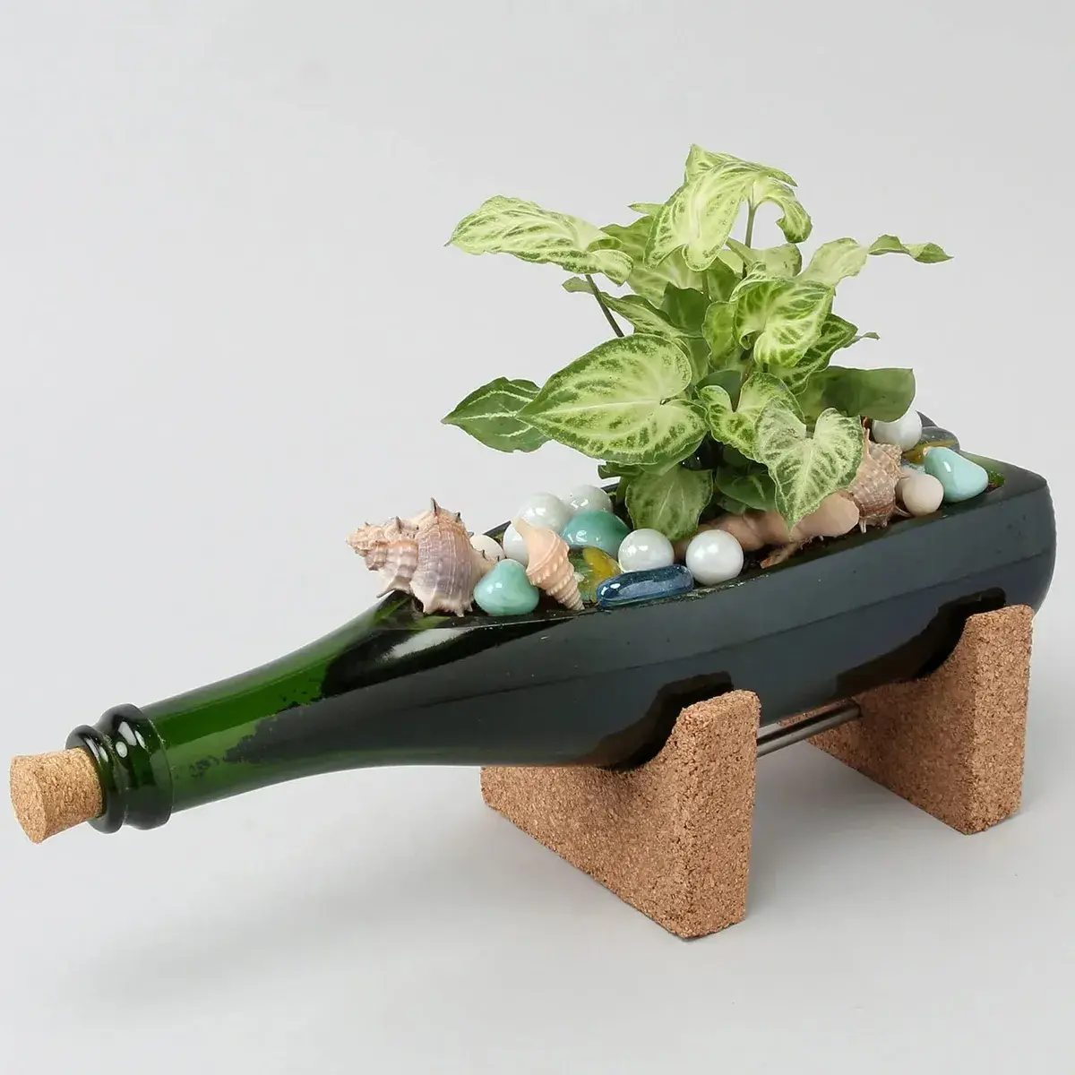 Champagne Bottle Planter For Living Room Bedroom I Plant Planter