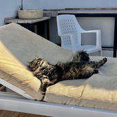 Balearic Breakfast | Episode 209 | Meeting Tigerbalm & Family Gatherings (Dave Stod)