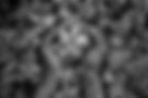 KS_Stevia_hands_077_fin.jpg