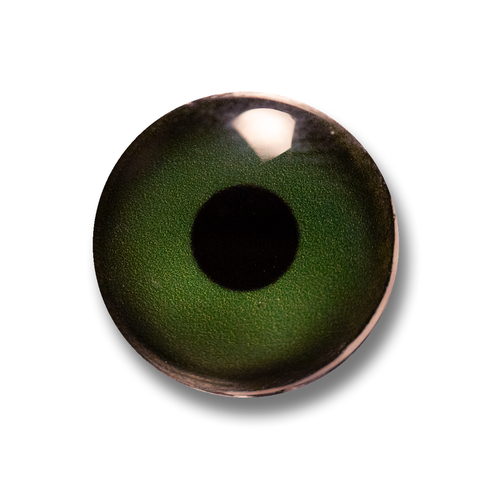 Standard-Dark Green