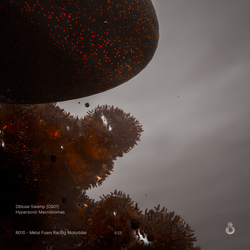 R010 - Hypersonic Macrobiomas [OS01]