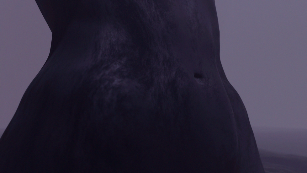 COMPRESSION [A/V Show] DesktopFiles