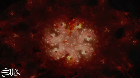 SubRadio Bcn x Obtuse Swamp