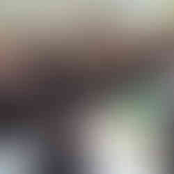 Feuerwehr Jahreshauptversammlung