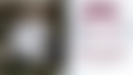 The Estie Social Suite: The Marketing System That Works as Hard as You Do