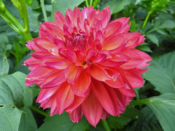 GF Smokey Summer (2)