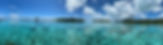 7644A224-2394-4612-88B3-3B2BC8F49022_1_1