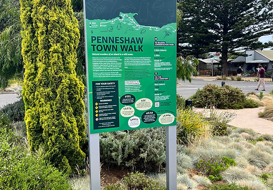 KIWalkingTrail_ (26).jpg