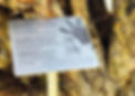 A small, etch anodised botanical label made by Armsign.