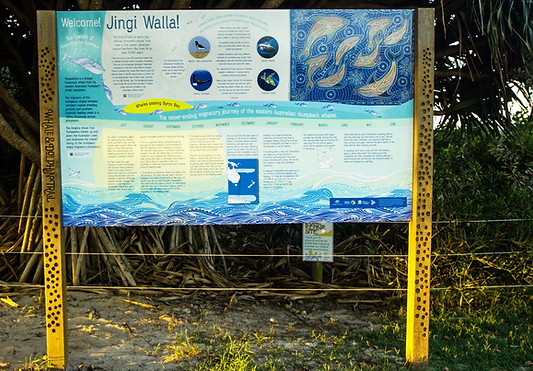 ByronWhaleTrail (8).jpg