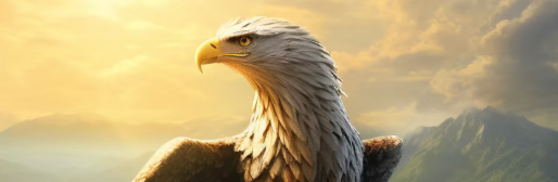 Close-up of a bald eagle with wings partly spread, lit by warm golden light against a mountain landscape.