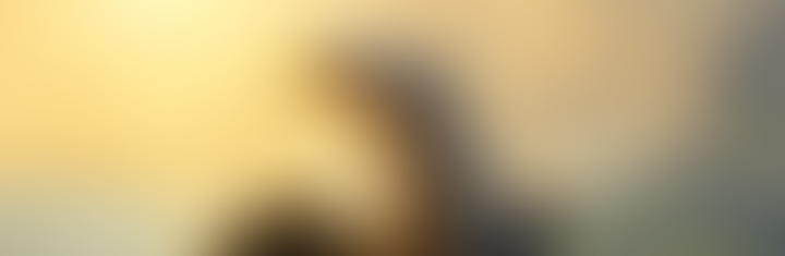 Close-up of a bald eagle with wings partly spread, lit by warm golden light against a mountain landscape.