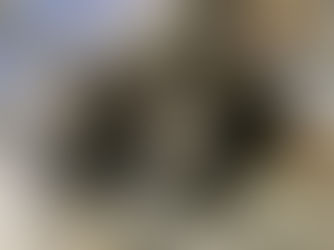 Le nouveau torréfacteur (ancien) est là!