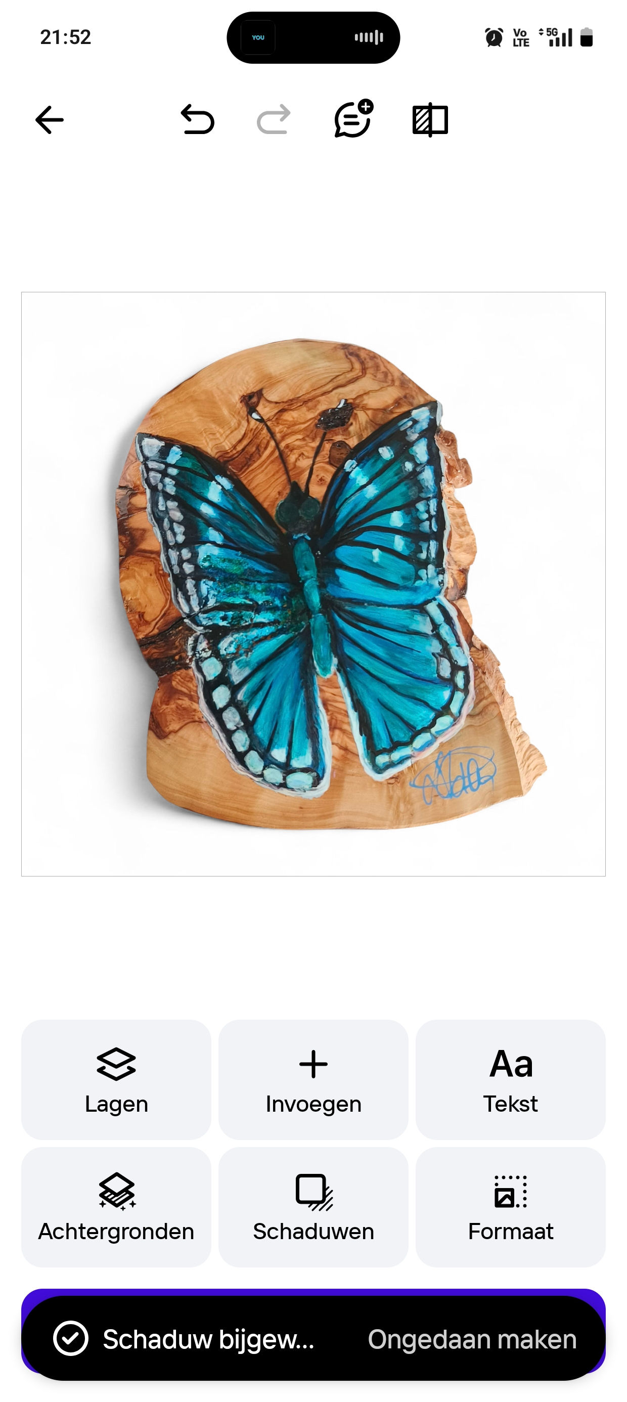 Blauwe vlinder op olijfhout uit Italië