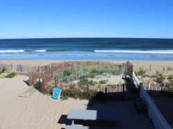 looking out the window 