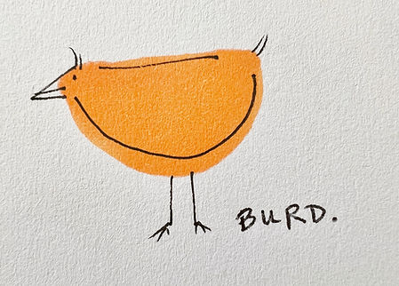 Burd