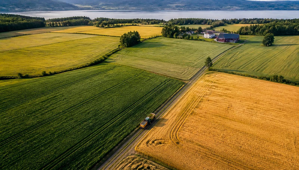 fields-aerial.jpg