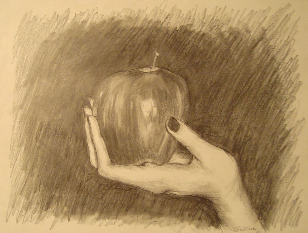 341 11-25-09 012.jpg