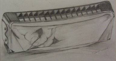 208 harmonicaseries 99.jpg