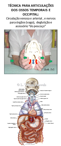 Dr. Rafael Stelle - terapia craniossacral