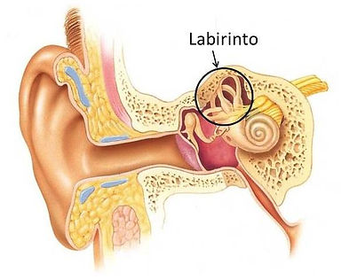 Labirinto