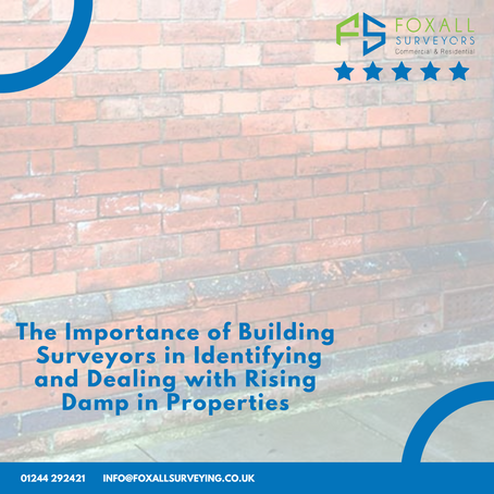 The Importance of Building Surveyors in Identifying and Dealing with Rising Damp in Properties