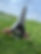 IMG_9187.JPEG