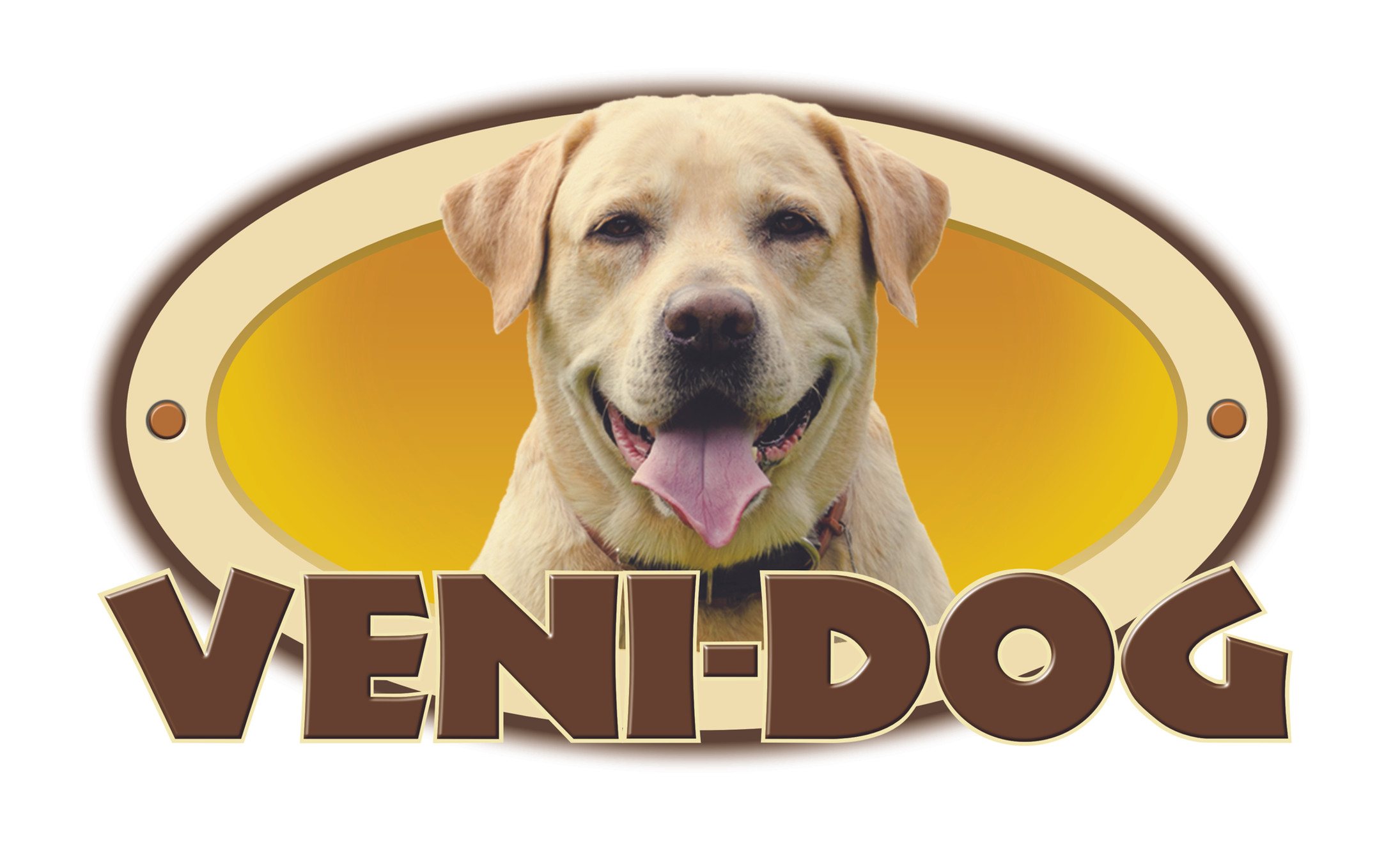 GIVING BACK Veni Dog giving-back-veni-dog