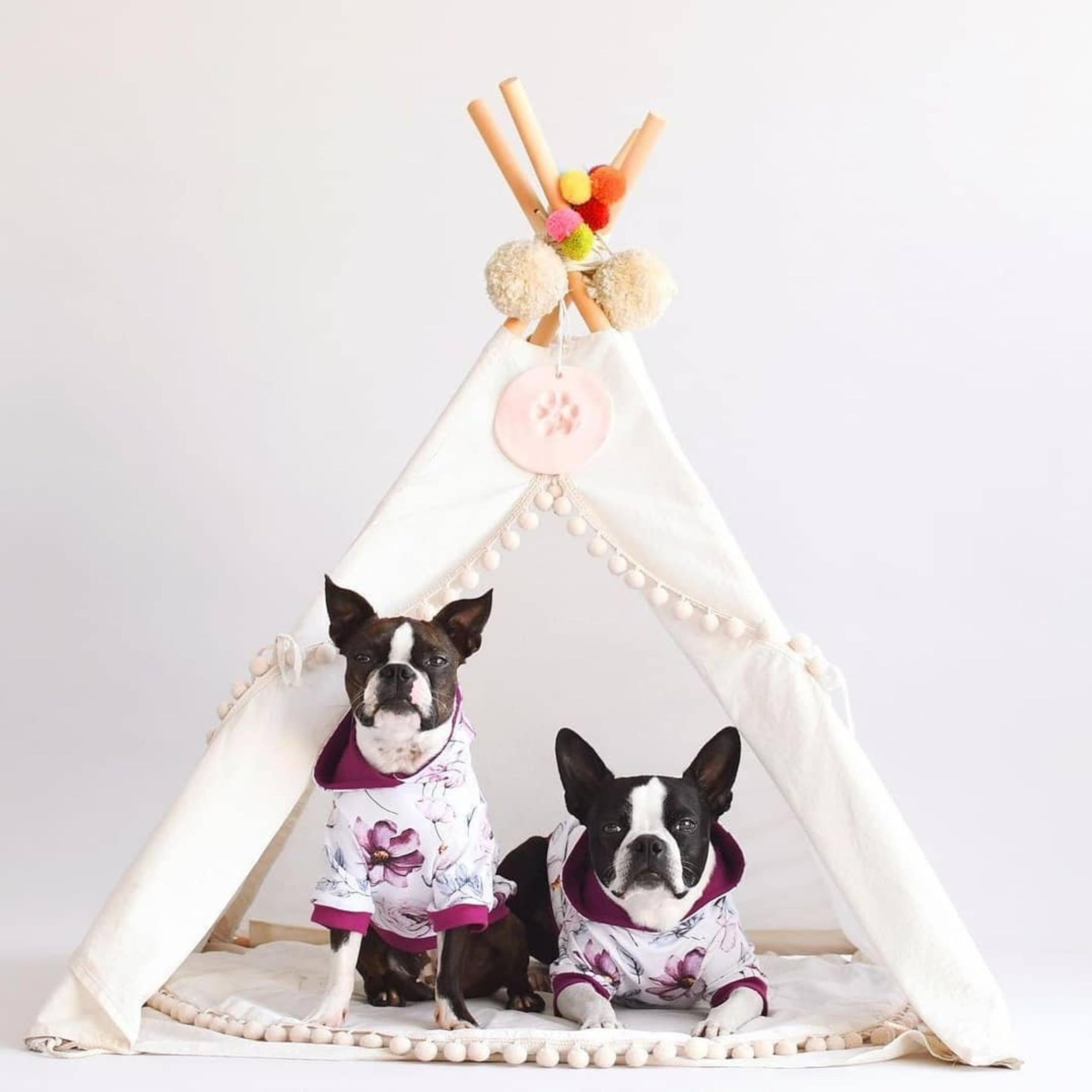 MINICAMP Dog House Indoor Den - Cozy Dog Tent Bed - Stylish Pet & Cat Teepee Cav