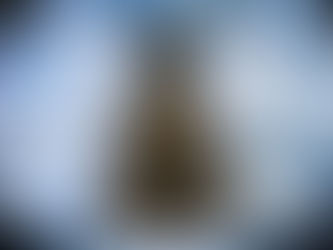 La regla de Buda o como prevenir desastres