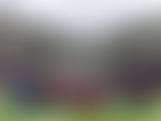 Alumnos de La Salle Nezahualcóyotl visitan el corazón del Estadio Alfredo Harp Helú