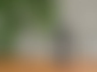 Australia’s Best Chenin Blanc