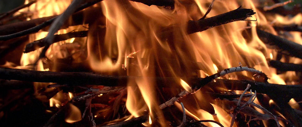 Thumbnail: 2025 L.A.S. Vino Chardonnay 'Wildberry Springs'