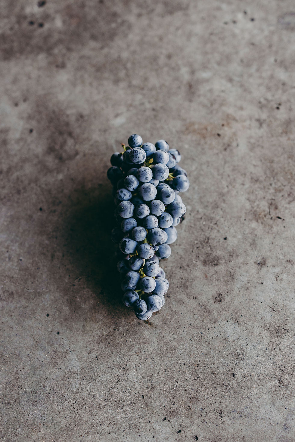 Thumbnail: 2025 L.A.S. Vino Cabernet Franc 'Franco'