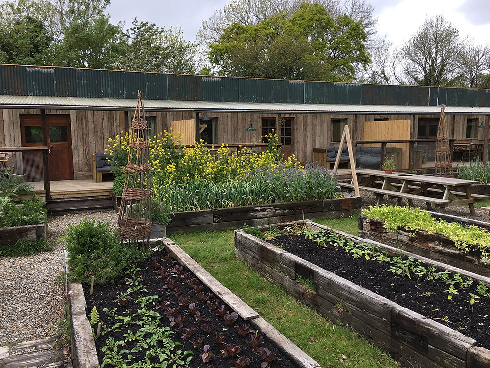 Thumbnail: Wild Wales Walking Holiday