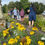 Thumbnail: Textiles & Treasures of the Scottish Borders