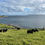 Thumbnail: Wool & Whisky: Highlands & Orkney Edition